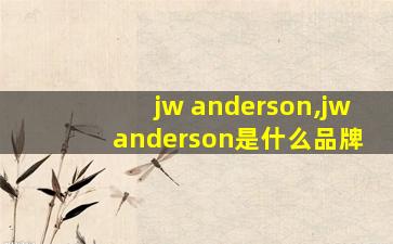 jw anderson,jw anderson是什么品牌